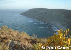 Rada Tilly